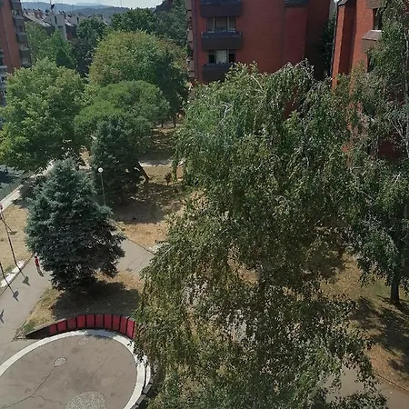 Kolubara 14 *